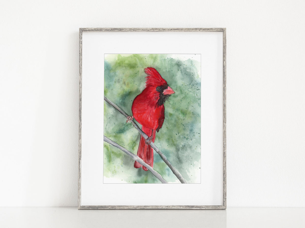 Cardinal on his Perch