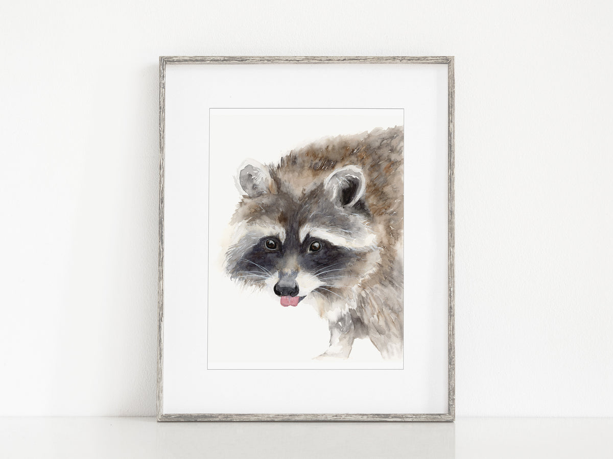 Raccoon Friend