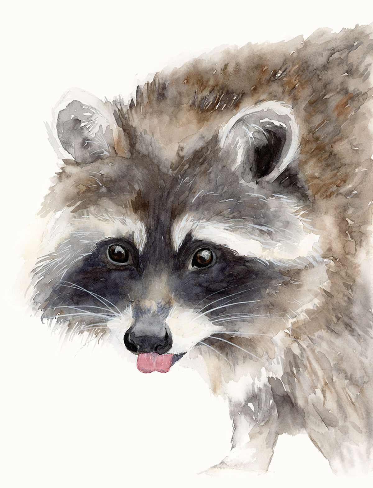 Raccoon Friend